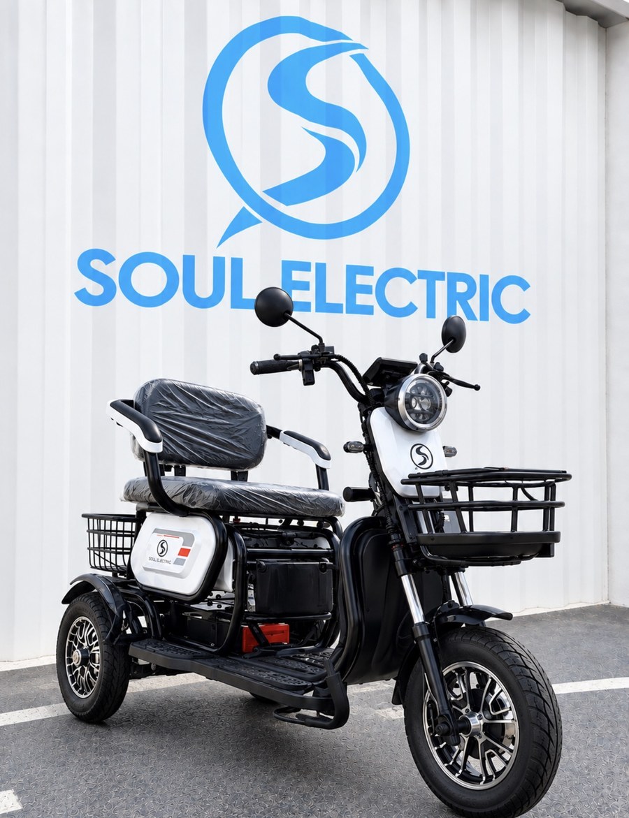 Triciclo Soul Família